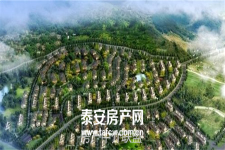 城东奥体新城，精装修，拎包入住，满2年，随时看房